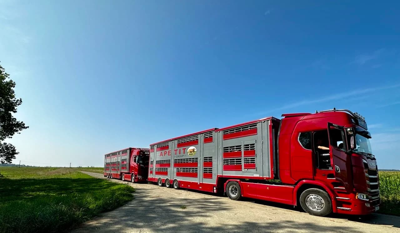 Livestock Dispatch